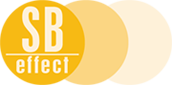 Logo SB effect BV