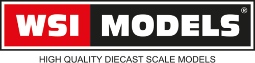 Logo WSI Models